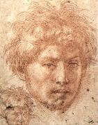 Andrea del Sarto Head of a Young Man oil painting reproduction